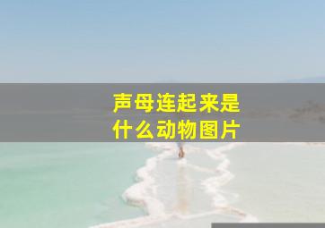 声母连起来是什么动物图片