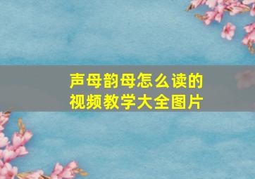 声母韵母怎么读的视频教学大全图片