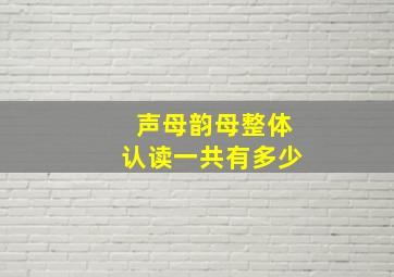 声母韵母整体认读一共有多少