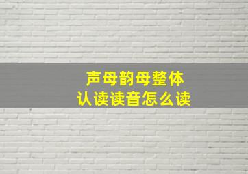 声母韵母整体认读读音怎么读