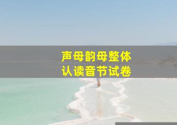 声母韵母整体认读音节试卷