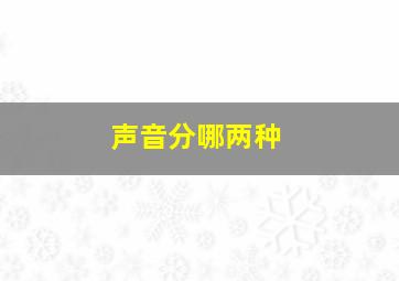 声音分哪两种