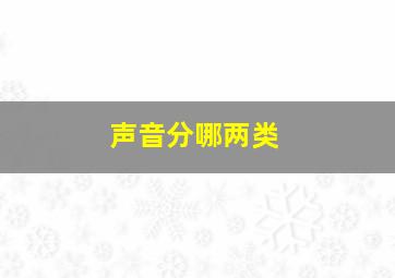 声音分哪两类