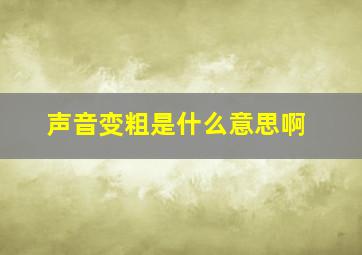 声音变粗是什么意思啊