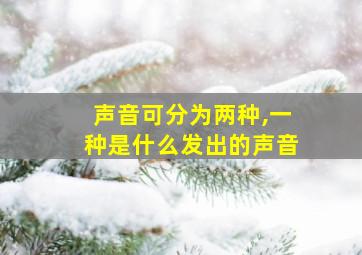 声音可分为两种,一种是什么发出的声音