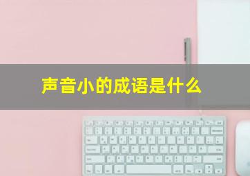 声音小的成语是什么