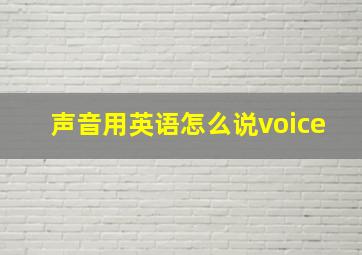 声音用英语怎么说voice