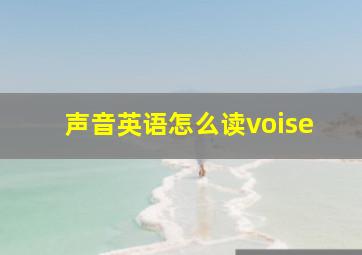 声音英语怎么读voise