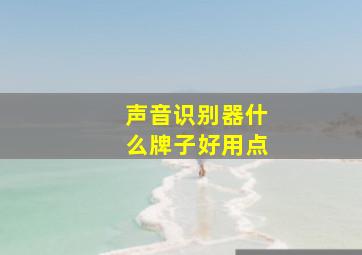 声音识别器什么牌子好用点