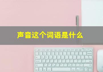 声音这个词语是什么