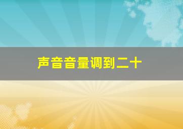 声音音量调到二十