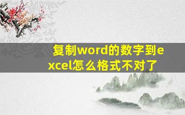 复制word的数字到excel怎么格式不对了