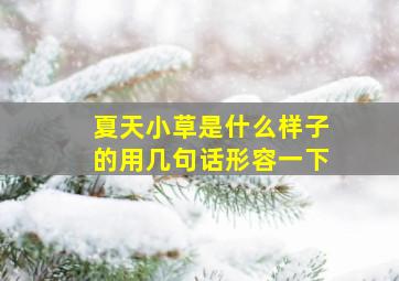 夏天小草是什么样子的用几句话形容一下