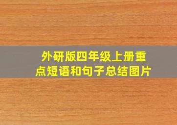 外研版四年级上册重点短语和句子总结图片