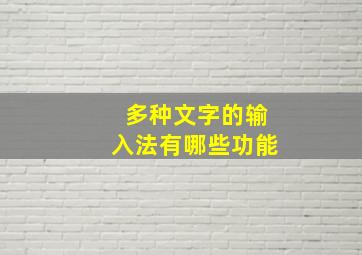 多种文字的输入法有哪些功能