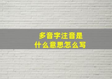 多音字注音是什么意思怎么写