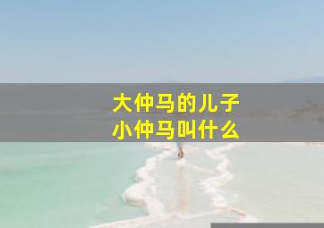 大仲马的儿子小仲马叫什么