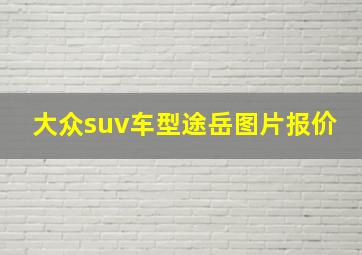 大众suv车型途岳图片报价