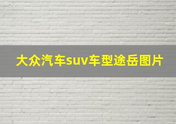 大众汽车suv车型途岳图片