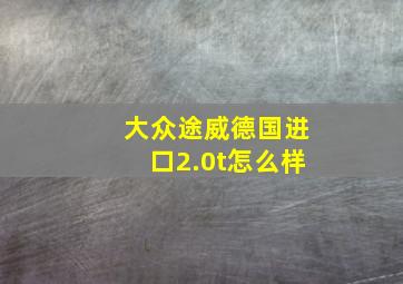 大众途威德国进口2.0t怎么样