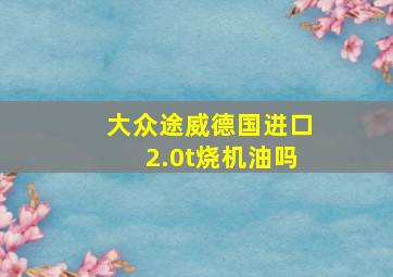 大众途威德国进口2.0t烧机油吗