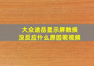 大众途岳显示屏触摸没反应什么原因呢视频