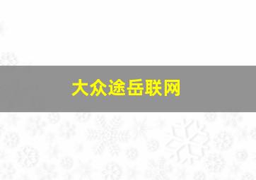 大众途岳联网