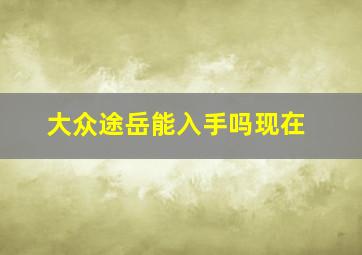 大众途岳能入手吗现在