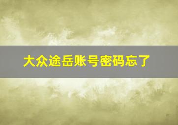 大众途岳账号密码忘了