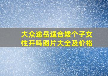 大众途岳适合矮个子女性开吗图片大全及价格