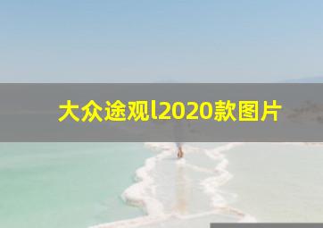 大众途观l2020款图片