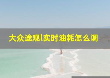 大众途观l实时油耗怎么调