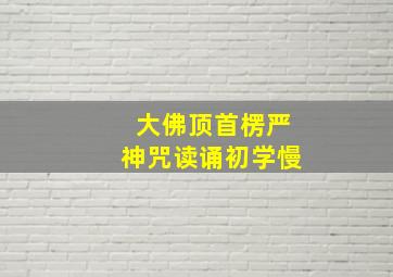 大佛顶首楞严神咒读诵初学慢