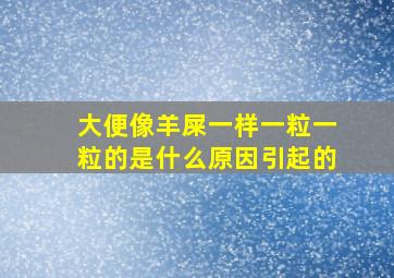 大便像羊屎一样一粒一粒的是什么原因引起的