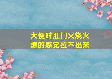 大便时肛门火烧火燎的感觉拉不出来