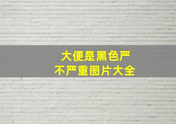 大便是黑色严不严重图片大全