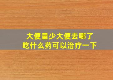 大便量少大便去哪了吃什么药可以治疗一下