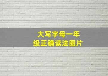 大写字母一年级正确读法图片