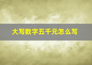 大写数字五千元怎么写