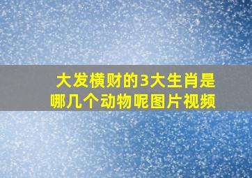 大发横财的3大生肖是哪几个动物呢图片视频