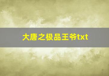 大唐之极品王爷txt