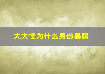 大大怪为什么身份暴露