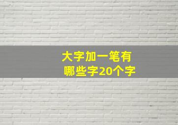 大字加一笔有哪些字20个字