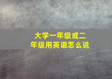 大学一年级或二年级用英语怎么说