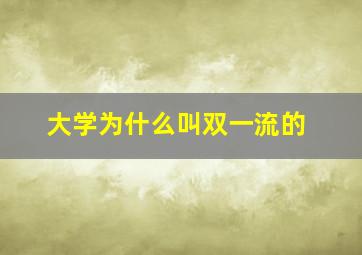 大学为什么叫双一流的