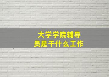 大学学院辅导员是干什么工作