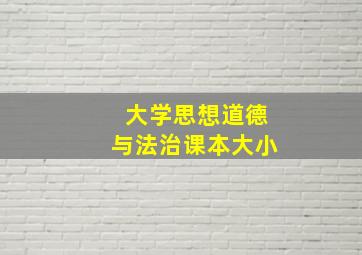 大学思想道德与法治课本大小