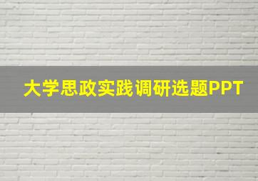 大学思政实践调研选题PPT