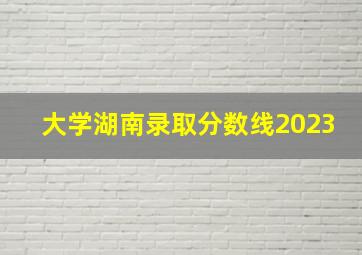 大学湖南录取分数线2023