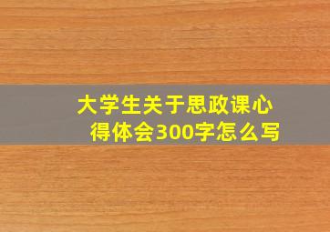 大学生关于思政课心得体会300字怎么写